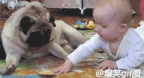 psb.gif