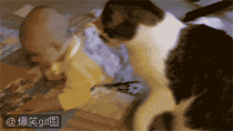 psb (7).gif