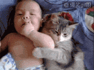 psb (5).gif