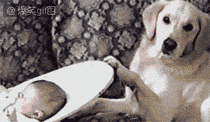psb (4).gif